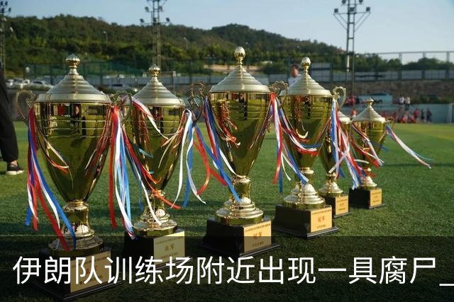伊朗队训练场附近出现一具腐尸 藏在车辆后备箱+黑袋包裹